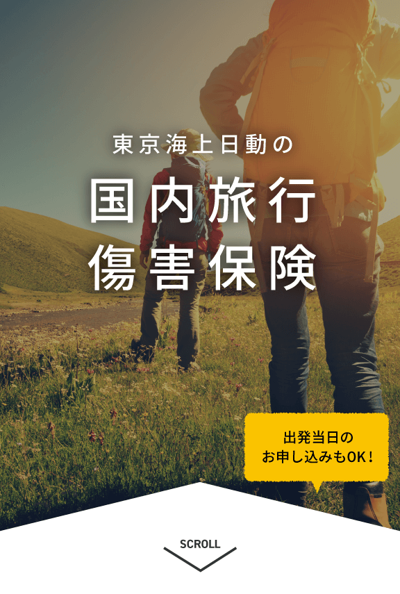 東京海上日動の国内旅行傷害保険